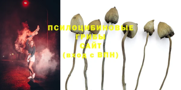 прущие крисы Няндома