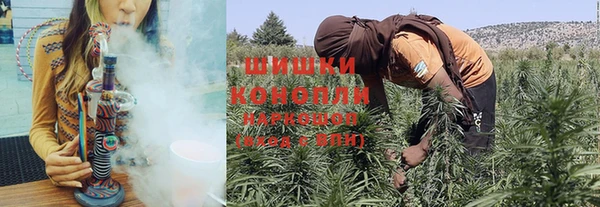 прущие крисы Няндома