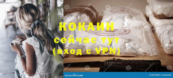 прущие крисы Няндома