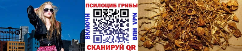 Галлюциногенные грибы Magic Shrooms  Купить  Малгобек 